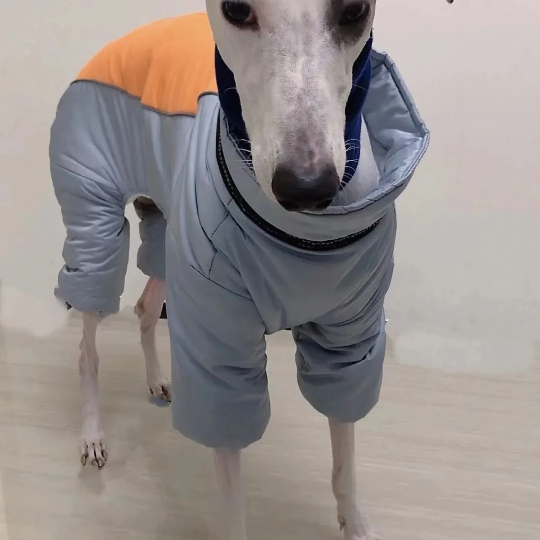 Ropa de invierno para perros grandes, abrigo cálido para mascotas, chaqueta impermeable, ropa Reversible para Galgo, Golden Retriever, ropa de Labrador - imagen 2