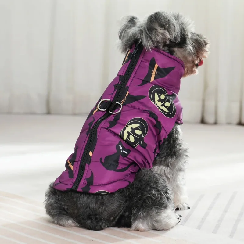 Chaqueta para perros pequeños y medianos, disfraz de fiesta para cachorros, abrigo cálido con estampado de calabaza para mascotas, chaleco bonito Schnauzer Chihuahua - imagen 2