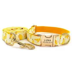 Collar personalizado con etiqueta ID para perros y gatos