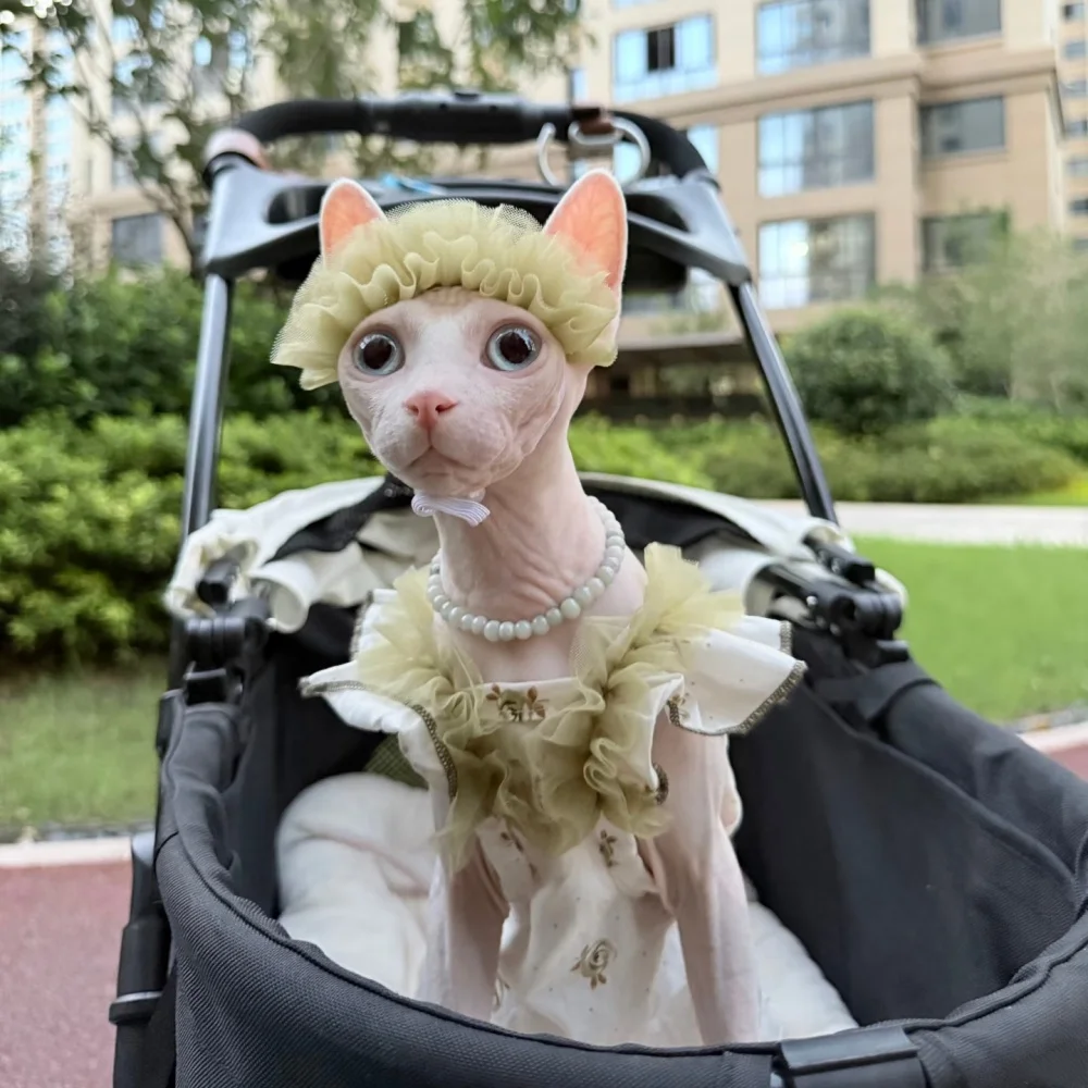 Vestido de algodón de encaje floral Sphynx con cinturón para el cabello de gato traje para gatos hembras falda de princesa suspendida verde de verano chaleco para gatitos