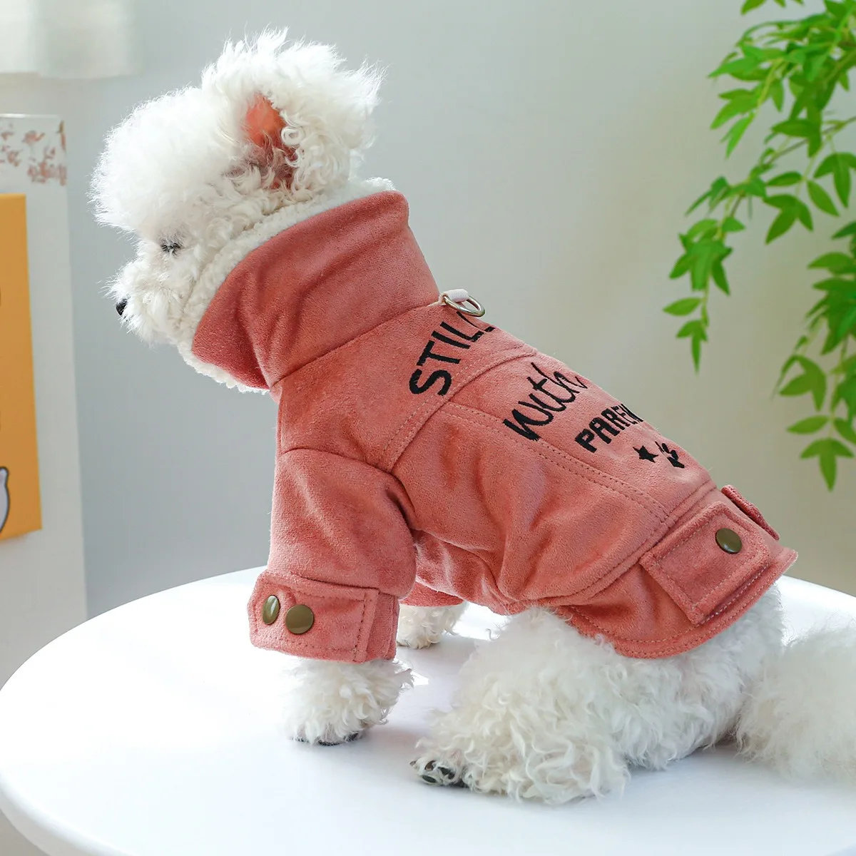 Ropa de cuero de gamuza para perros, chaqueta cálida de algodón grueso de invierno para cachorros pequeños y medianos, ropa personalizada para gatos de días fríos - imagen 2