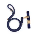 collar leash