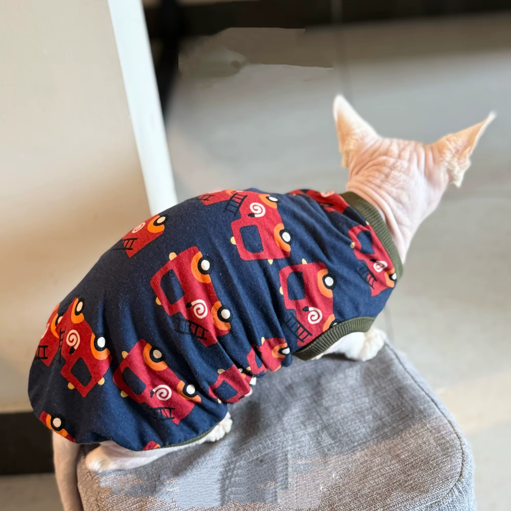 Camiseta estampada de coche para gatos Sphynx Devon Rex sin pelo - imagen 5