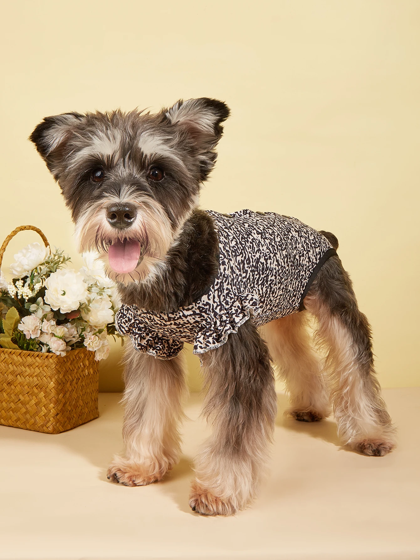 Pjs-ropa con dobladillo y volantes para perros pequeños, ropa con patrón bonito para cachorros y gatos, primavera y verano - imagen 3