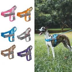 Arnés de perro personalizado con parche de nombre y correa reflectante