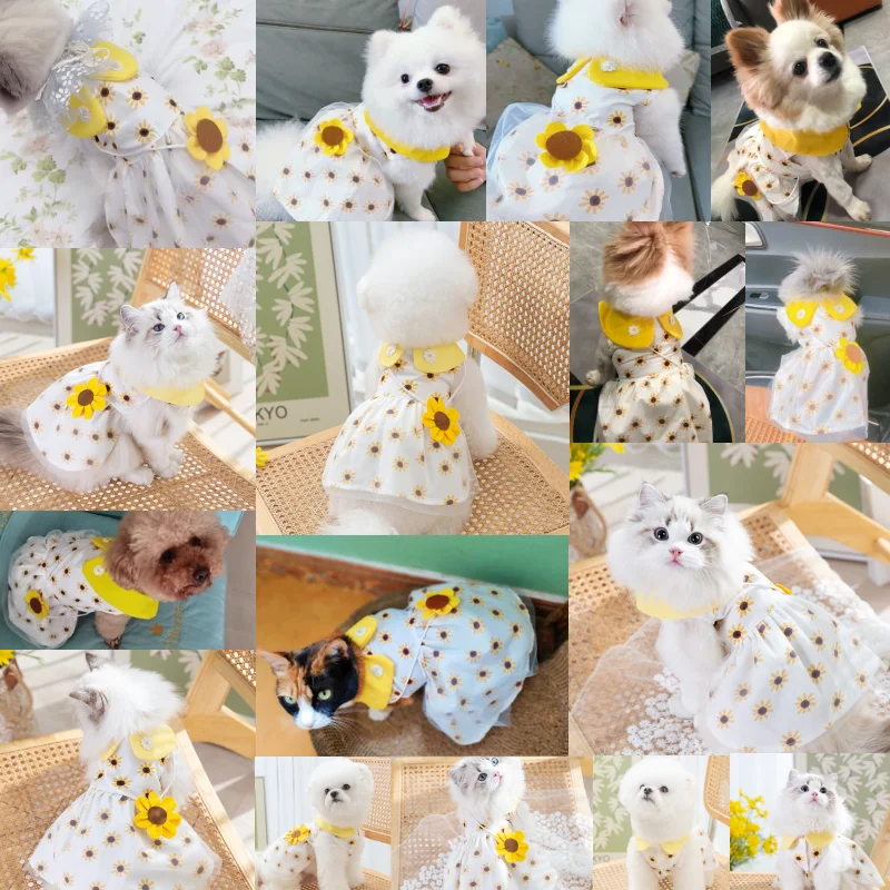 Vestido de princesa para perro, bonito vestido de malla para perro, gatito, cachorro, falda para mascota, vestido de verano para perro, lazo de encaje, ropa coreana para caniche, Chihuahua - imagen 2