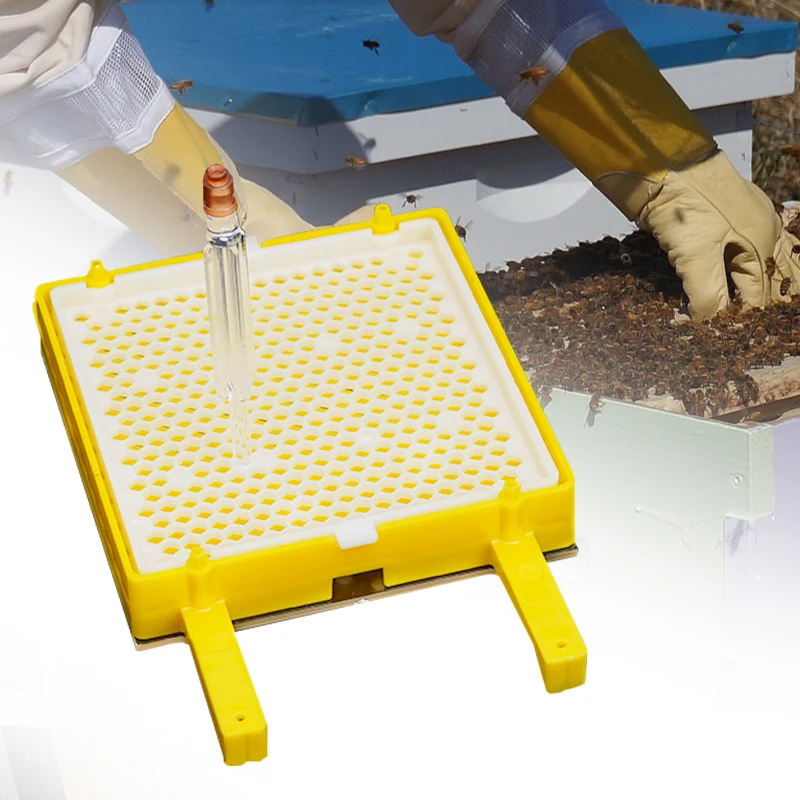 1 Juego de Kit de cría de abejas reina, Jenter alemán, tazas de células de abeja, jaula de movimiento de Larva, suministros de cría de apicultura - imagen 5