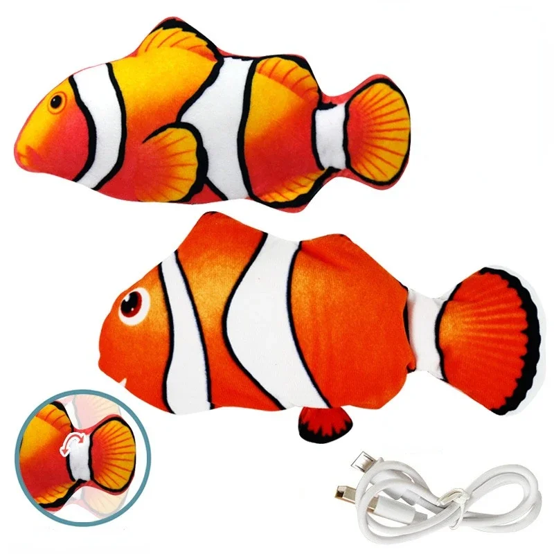 Clownfish