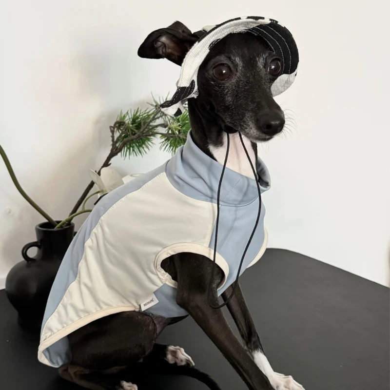 Sombrero de protección solar de pequeño galgo de verano, sombrero para exteriores con agujeros para las orejas, gorra ajustable para Whipbit, sombrero fresco transpirable para perros pequeños multimedia