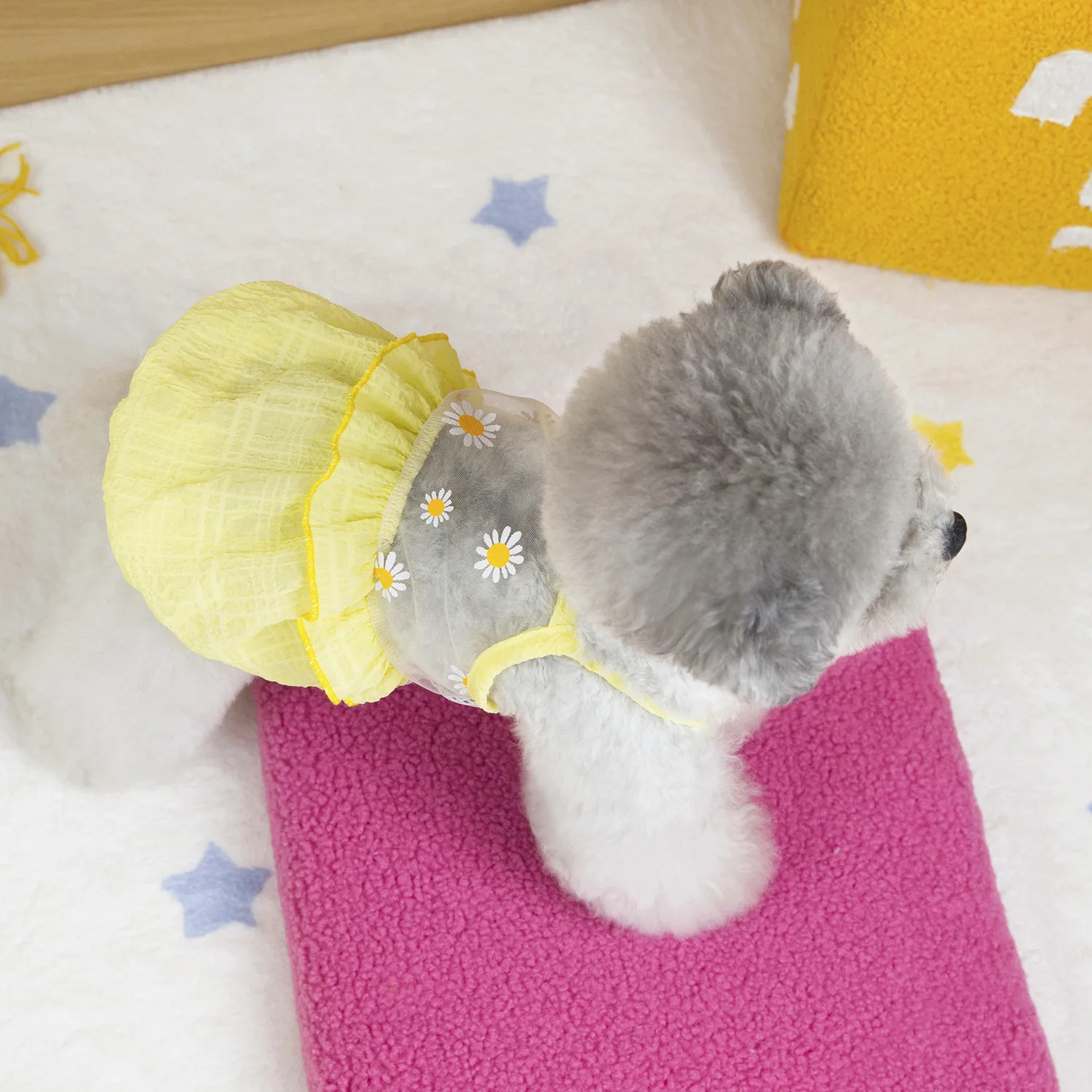 Chaleco de malla con flores bordadas para mascotas, ropa para gatos, falda con farol fresco para perros pequeños, ropa para cachorros, ropa para perros - imagen 2