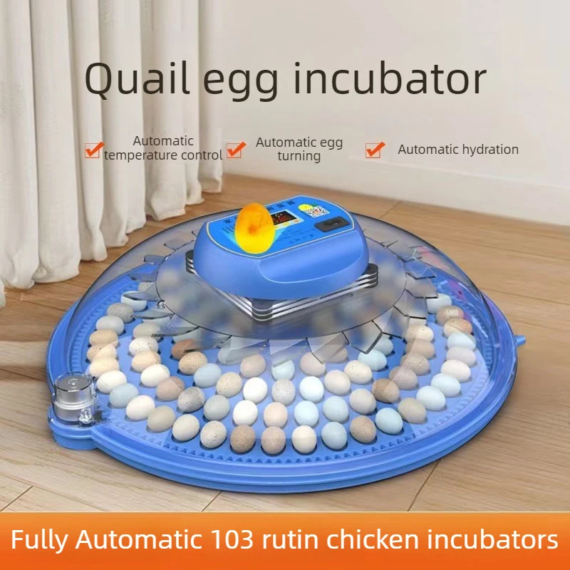 Incubadora automática de huevos con control térmico y LED