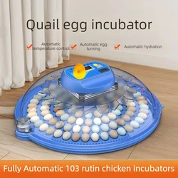Incubadora automática de huevos con control térmico y LED