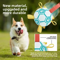 Pelota resistente a mordeduras para perros – Juguete fútbol exterior