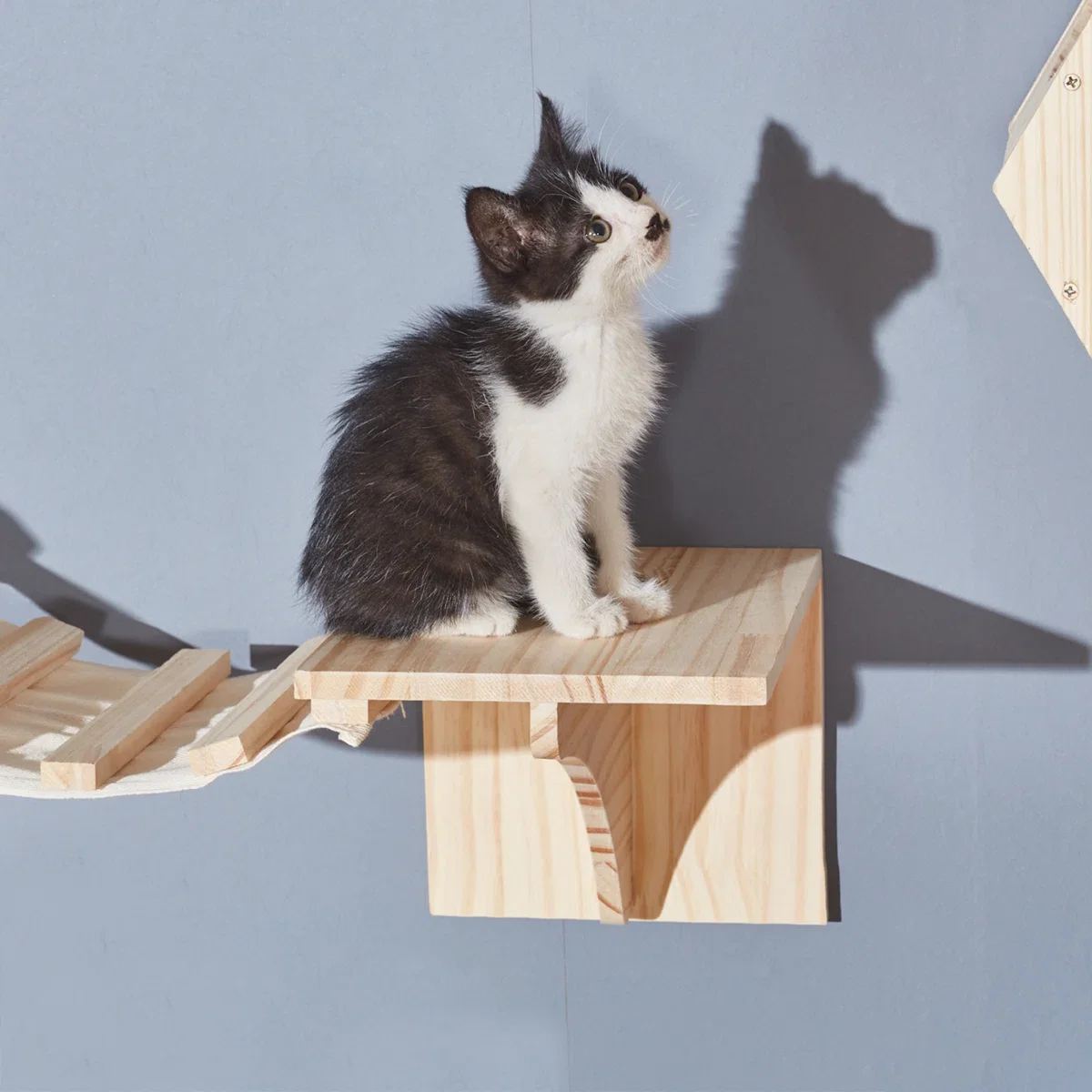 Percha de madera para gatos, puente colgante montado en la pared, escalera, marco de escalada para gatos con hamaca y plataforma de madera maciza, área de juegos para gatos - imagen 2