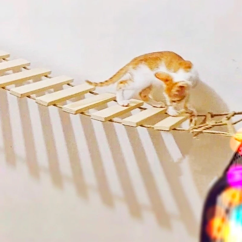 Juguetes de pared para actividades, rascador de Sisal de madera para gatos, muebles escaladores, puente para gatos, escalones de cuerda, escalera para gatitos, poste para pared - imagen 3