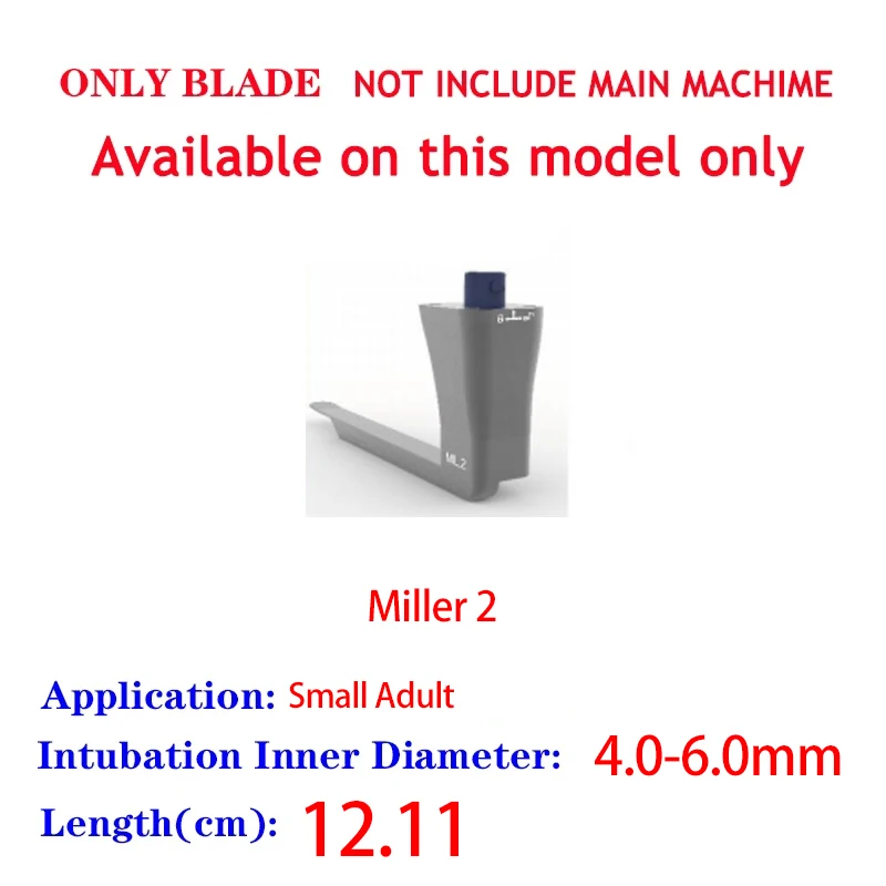 Small Adult(Miller2)