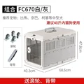 FC670 pale