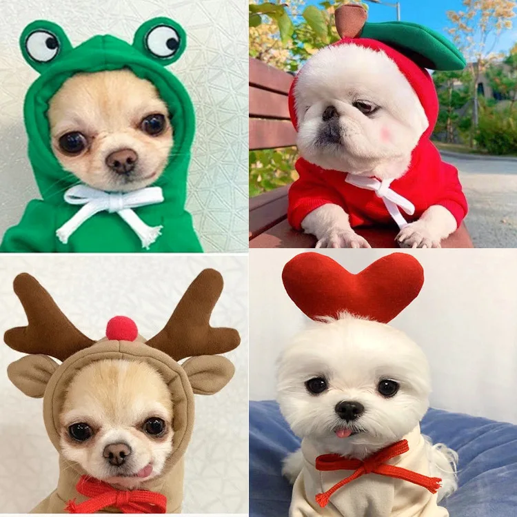 Fruta convertida perro gato pequeño perro mediano otoño e invierno suéter ropa de lana suministros mascota Teddy sudaderas con capucha productos para mascotas