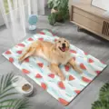 Pet Cooling Mats-C