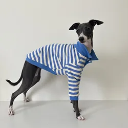 Camisa Polo para perros: Galgo Italiano, Whippet y Bedlington Terrier