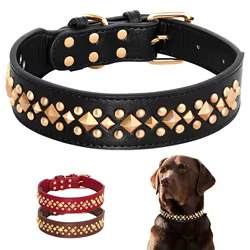 Collar tachuelas cuero para perros medianos, grandes y Bulldog Francés