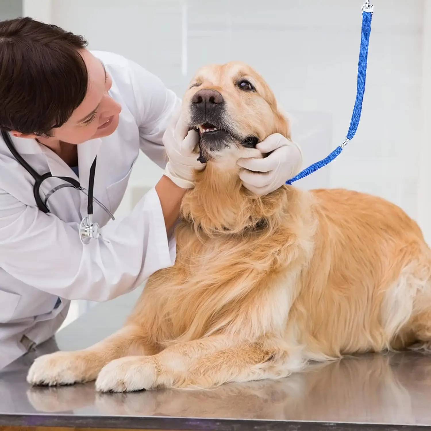 1/3 Uds. Cordones de sujeción de nailon para el cuidado de mascotas, correas ajustables para perros y gatos, cuerda fija para mesa de aseo para mascotas - imagen 2