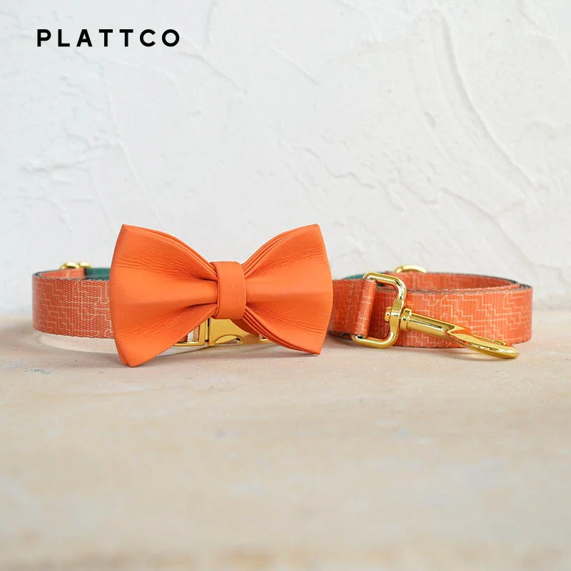 Bow Tie Collar Leash