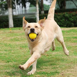Juguete masticable para perros con bola chirriante y cuidado dental