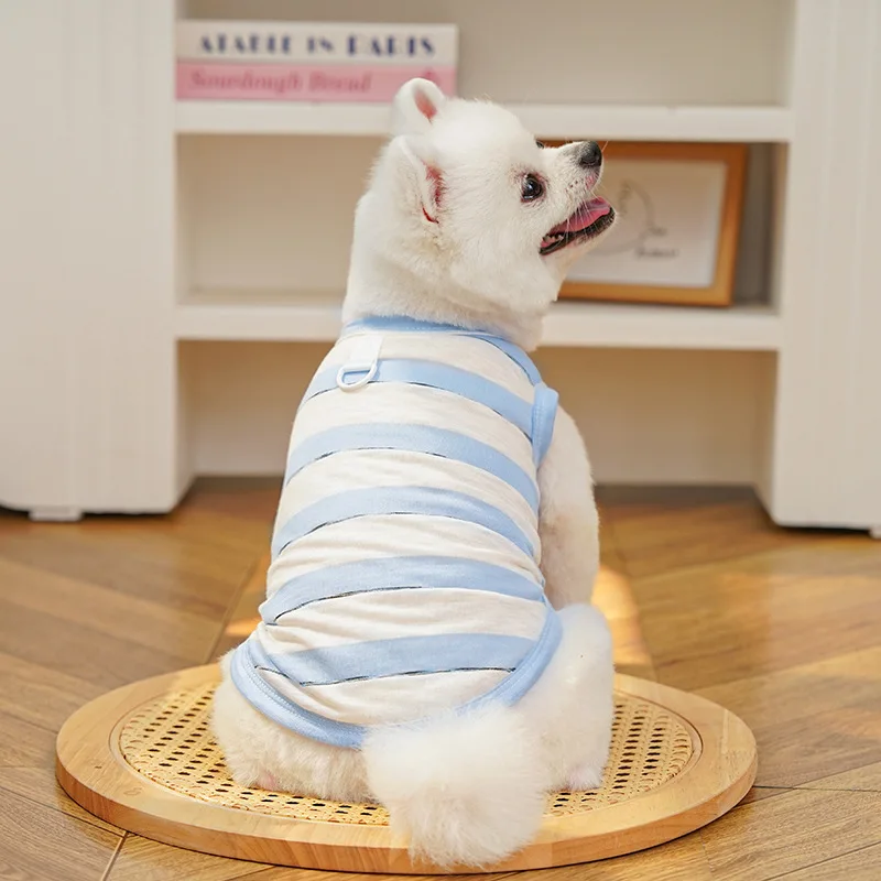 Chaleco refrigerante para perros pequeños – Verano con rayas - imagen 3