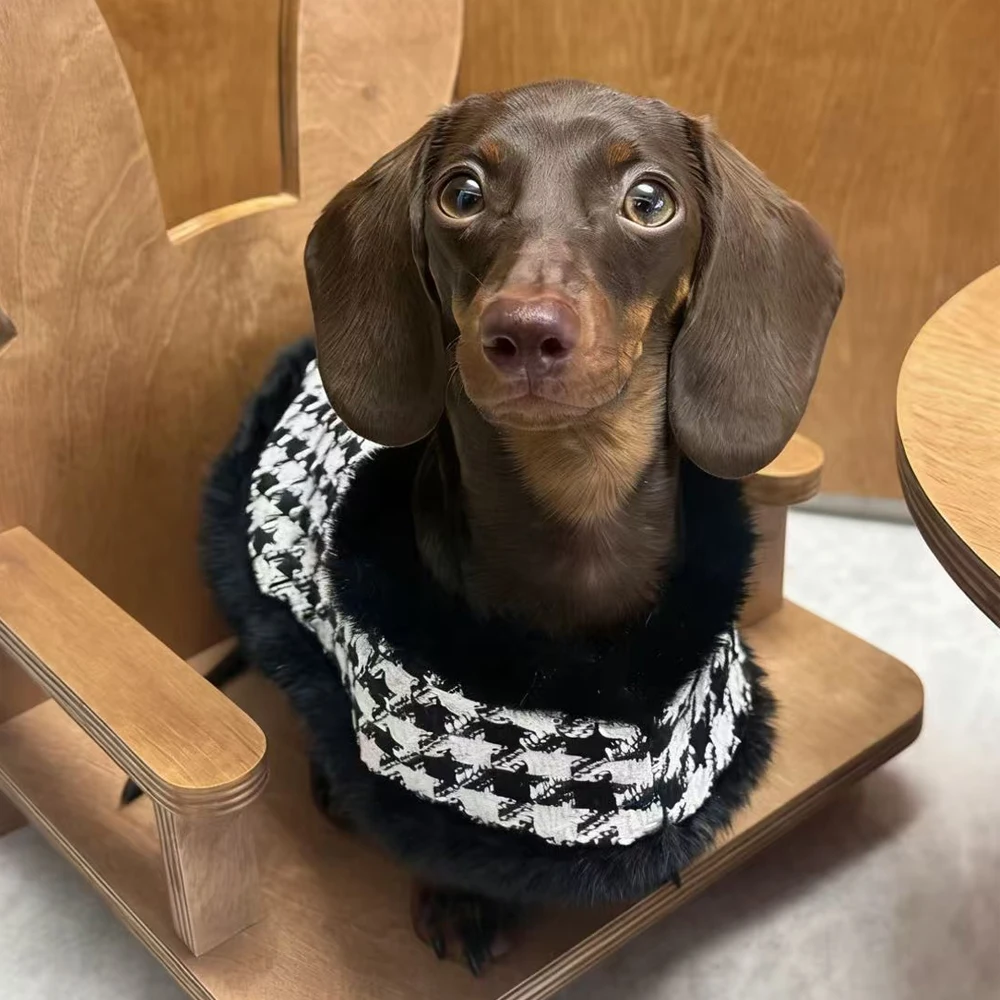 Abrigo invierno perro mini pata de gallo blanco y negro con sombrero - imagen 4