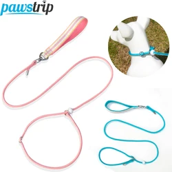 Correas fuertes para perros de 150cm/59,06 pulgadas, correa de nailon para caminar para perros, correas de entrenamiento para cachorros, Collar ajustable para mascotas, correa de plomo, suministros para mascotas