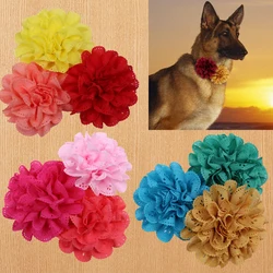 Pajarita deslizante para perros con flor grande - Accesorio de aseo