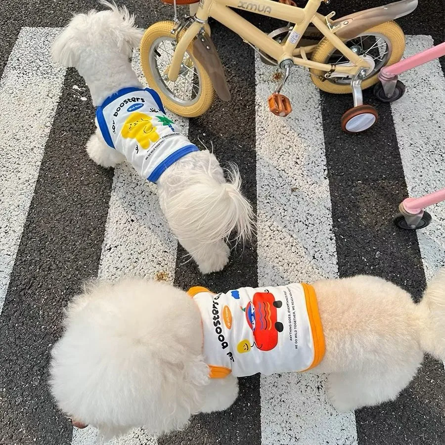 Camisola contrastante para primavera/verano para mascotas, camisola para perros pequeños, Top para primavera/verano, ropa para cachorros de peluche y gatos pequeños - imagen 3