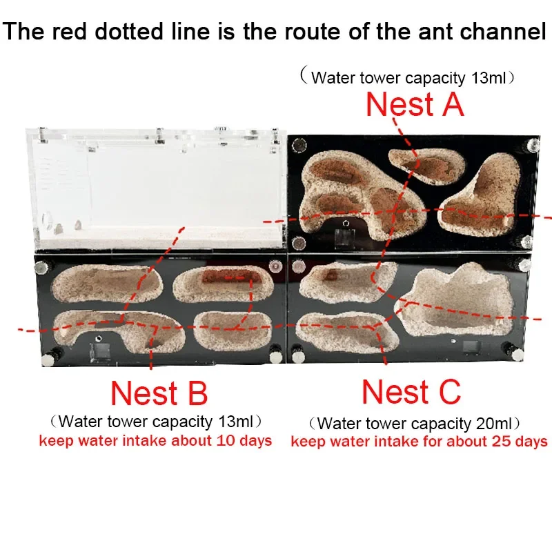 Granja de hormigas de hormigón, Control inteligente de temperatura, nido de hormigas, empalmable, antill expandido, casa de hormigas, perrera de hormigas acrílicas, caja de insectos - imagen 5
