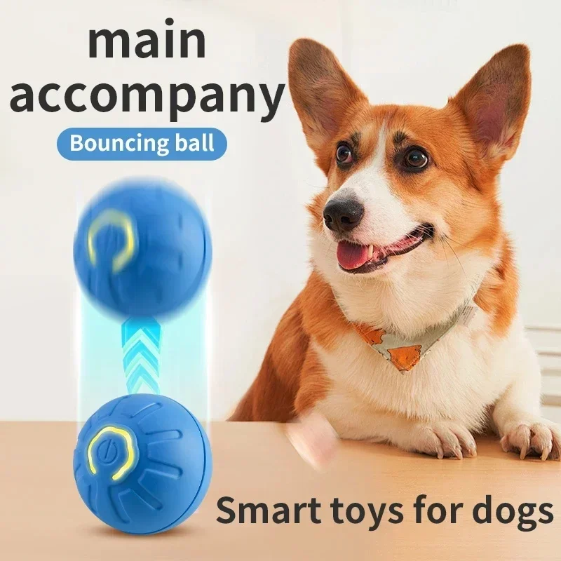Pelota de juguete para perro, juguete interactivo para masticar, con movimiento automático, Rodante, USB, productos para gatos - imagen 4