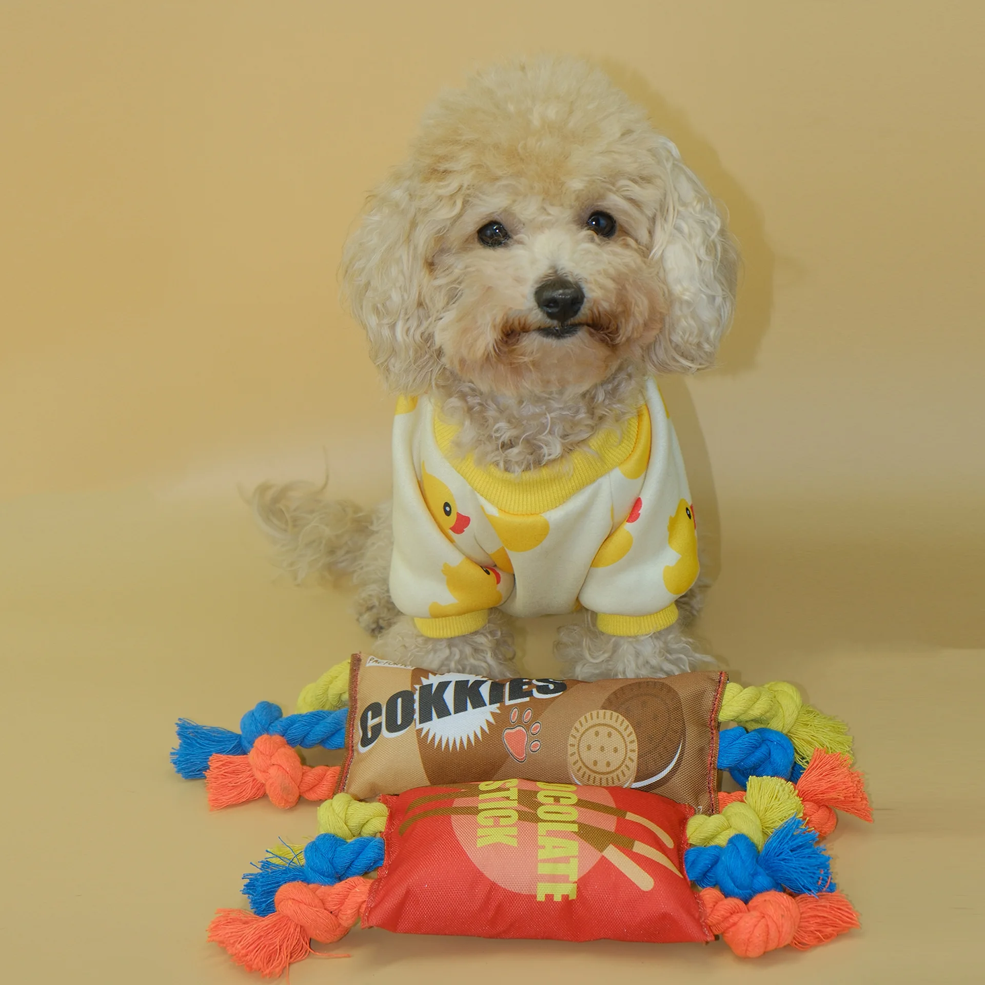 Juguetes para perros y mascotas, patatas fritas de arcoíris, galletas, nudo, juguetes con sonido, antimordeduras, molienda de dientes, juguete compañero, accesorios para perros Pomerianos - imagen 2