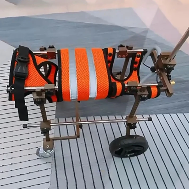 Ayuda de entrenamiento para perros, cochecito de cuatro ruedas para discapacitados, suministros para cachorros, accesorio para comportamiento - imagen 5