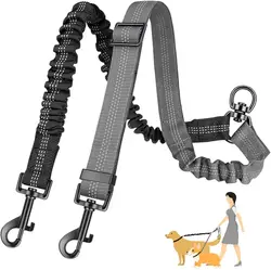 Correa extensible para perros – Sistema anti-enredos y regulación