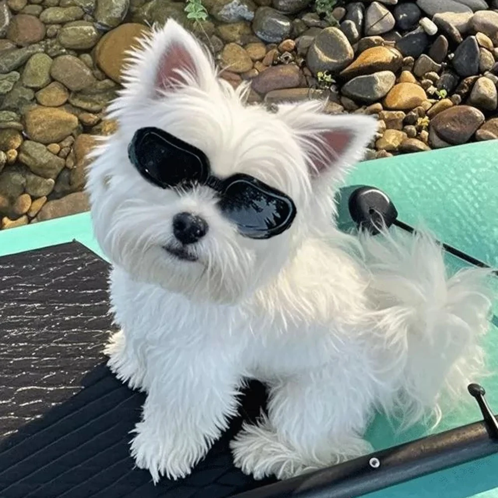 Gafas de Sol Plegables para Perros y Gatos - Accesorios para Mascotas - imagen 5