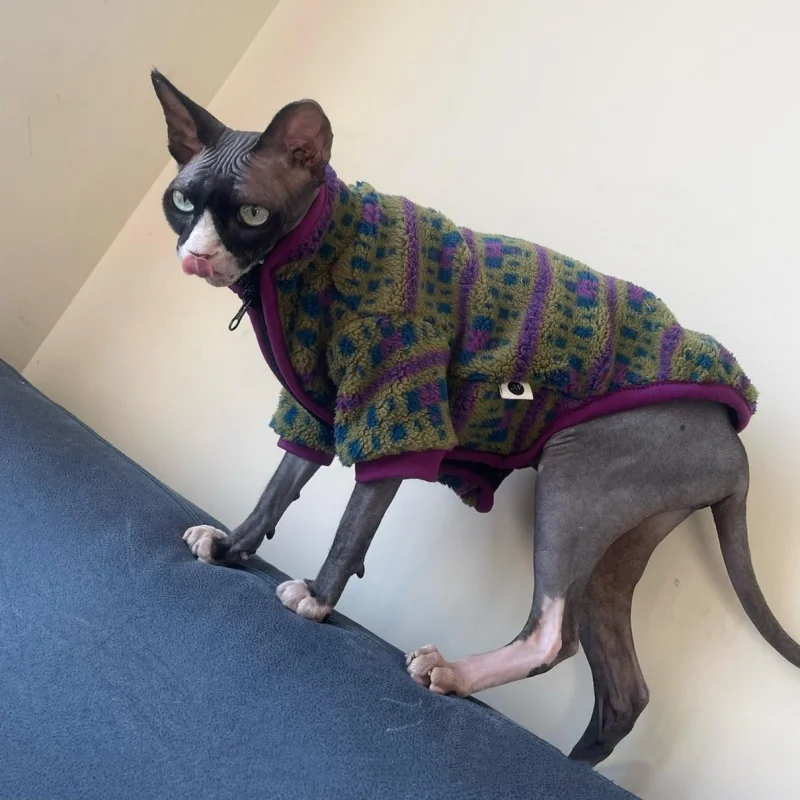 Sphyinx Cat Otoño e invierno Forro polar austriaco Chaqueta verde cálido Cárdigan con cremallera Ropa de gato Abrigo morado grueso para Devon Rex - imagen 3