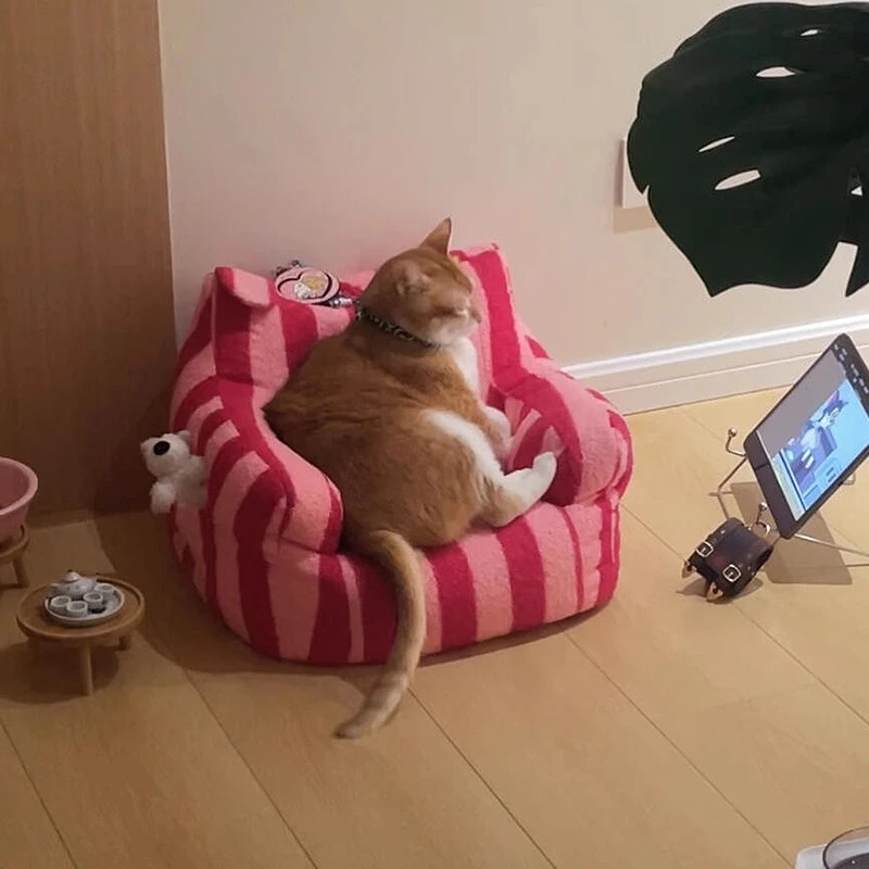 Nido de gato pequeño para dormir cálido, bolsa de frijoles, sofá, camas para perros, camas medianas de lujo para gatos de invierno, suministros universales para cachorros y gatitos para interiores - imagen 2