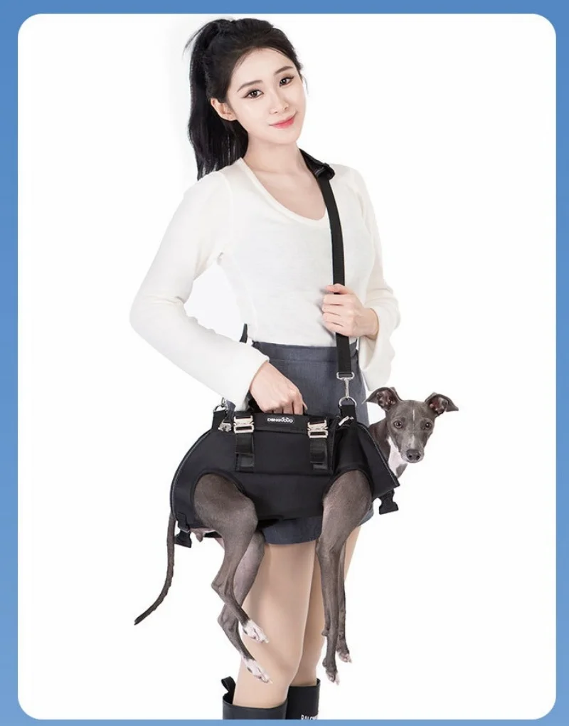 Mochila para perros, arnés de elevación para perros con correa, mochila ajustable para transportar mascotas, piernas hacia fuera, bolsa frontal para perros de cuerpo completo - imagen 4