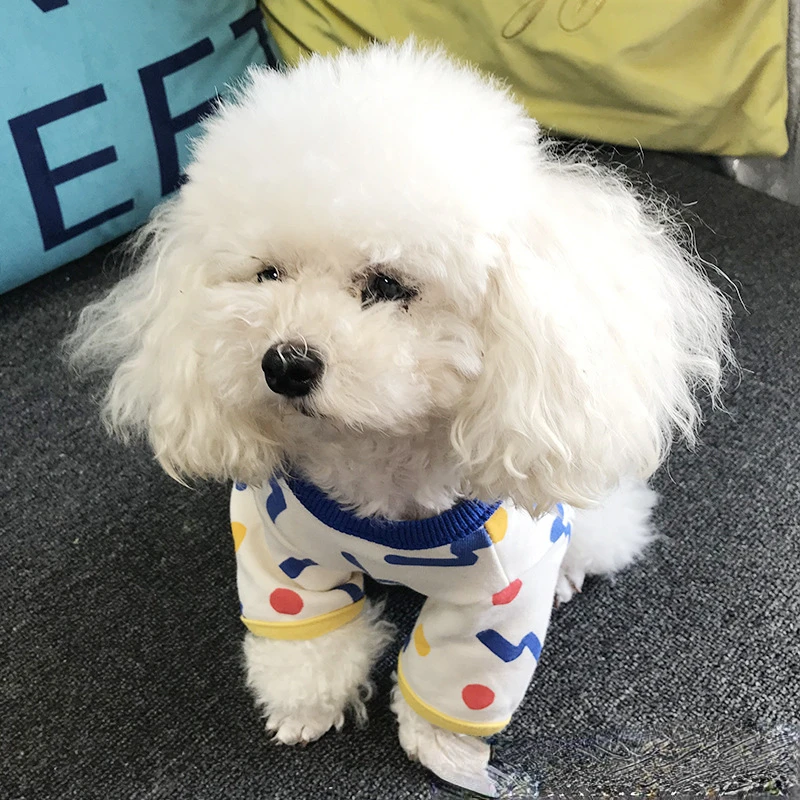 Camiseta sin mangas con contraste de Color para mascotas, ropa de otoño e invierno, Camiseta de algodón con puntos, camisa inferior, ropa para perros de oso gordo de peluche - imagen 3