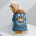 denim prince