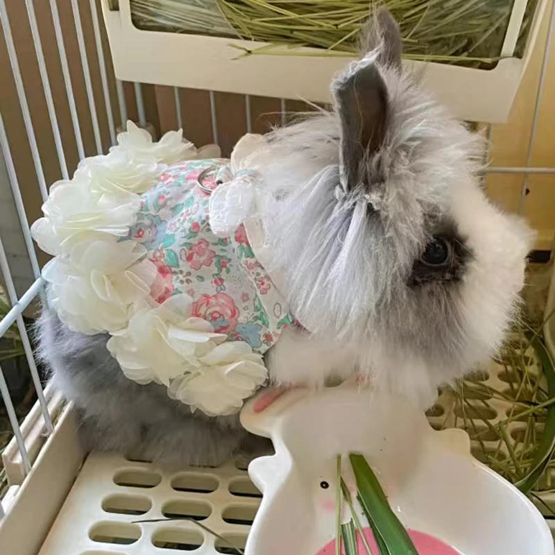 Ropa de conejillos de indias con arnés para mascotas al aire libre, conjunto de arnés y correa para animales pequeños, traje de conejillos de indias - imagen 5