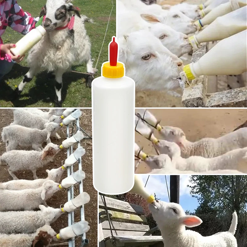Botella de ordeño de cordero, bebedero de plástico para lechón, oveja, Cabra, bebedero de alimentación, capacidad de 400ML, guardería, agricultura veterinaria, 1 unidad - imagen 3