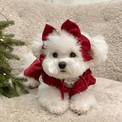 Ropa de invierno para perros pequeños: jersey rojo cálido