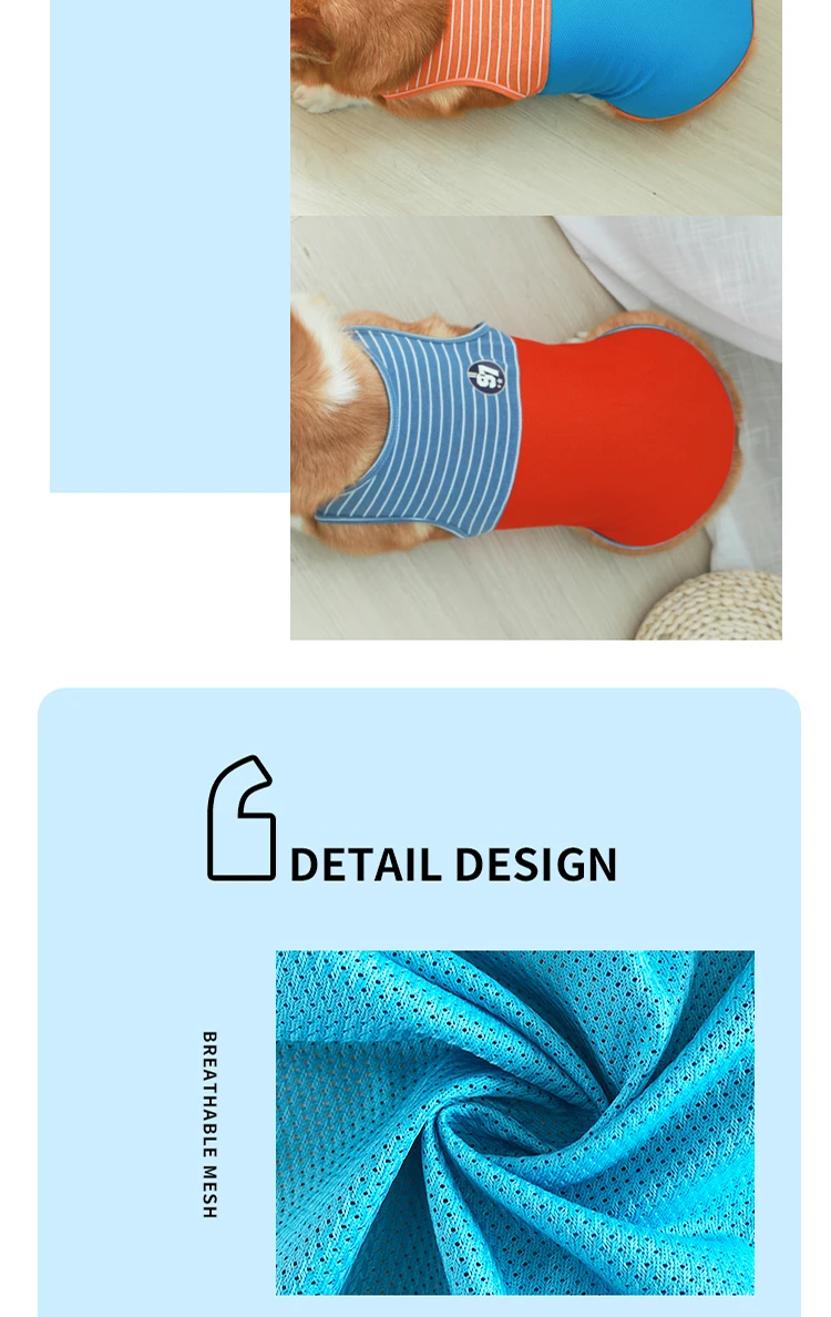 Un perro que lleva una prenda protectora, que parece ser un arnés para perros o un chaleco protector. La prenda está diseñada con una combinación de colores azul y naranja, y tiene un diseño estampado en la zona del pecho.