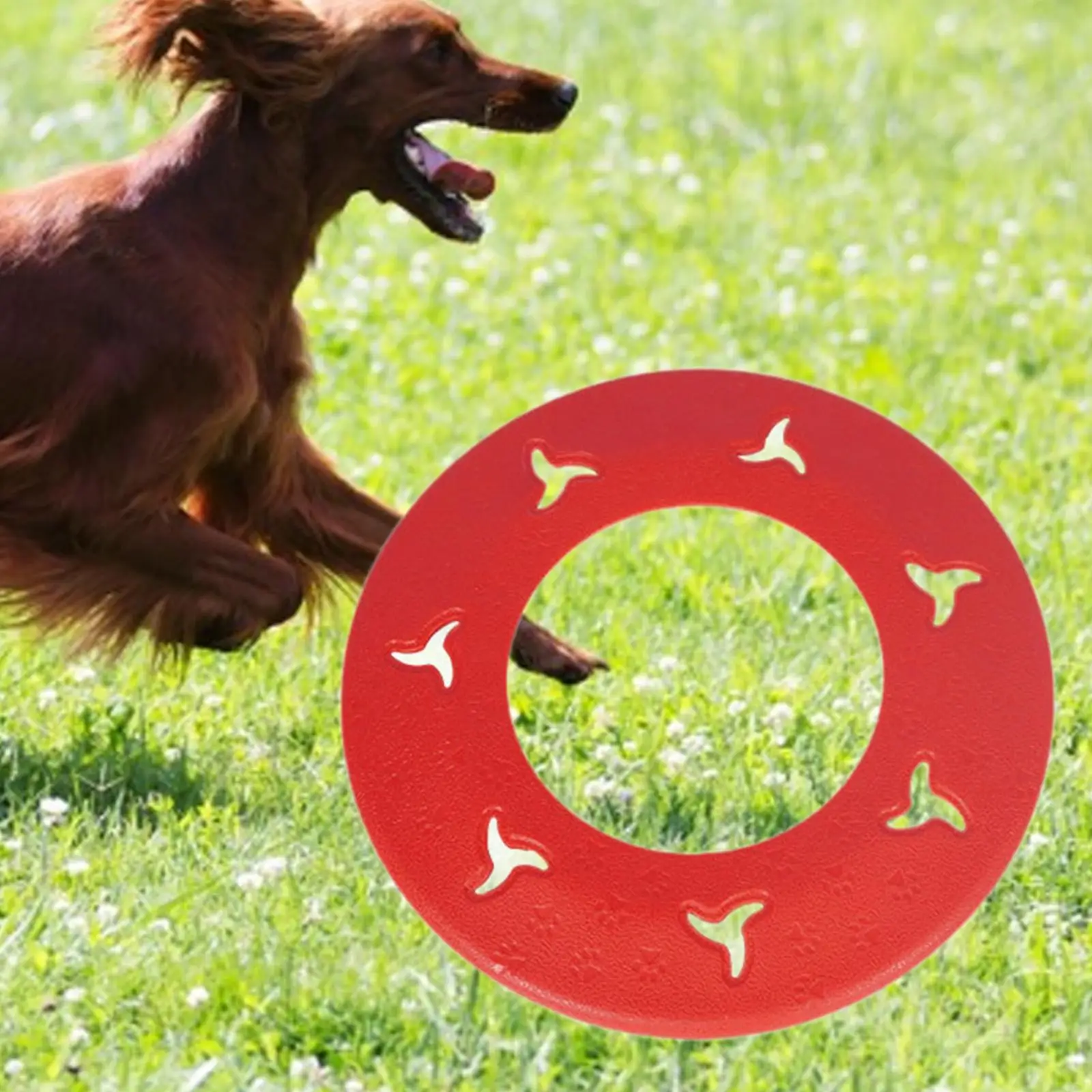 Interactive Dog Toy Floating Flying Saucer Party Lightweight Dog Flying Disc Interactive Dog Toy Floating Flying Saucer Party Lightweight Dog Flying Disc