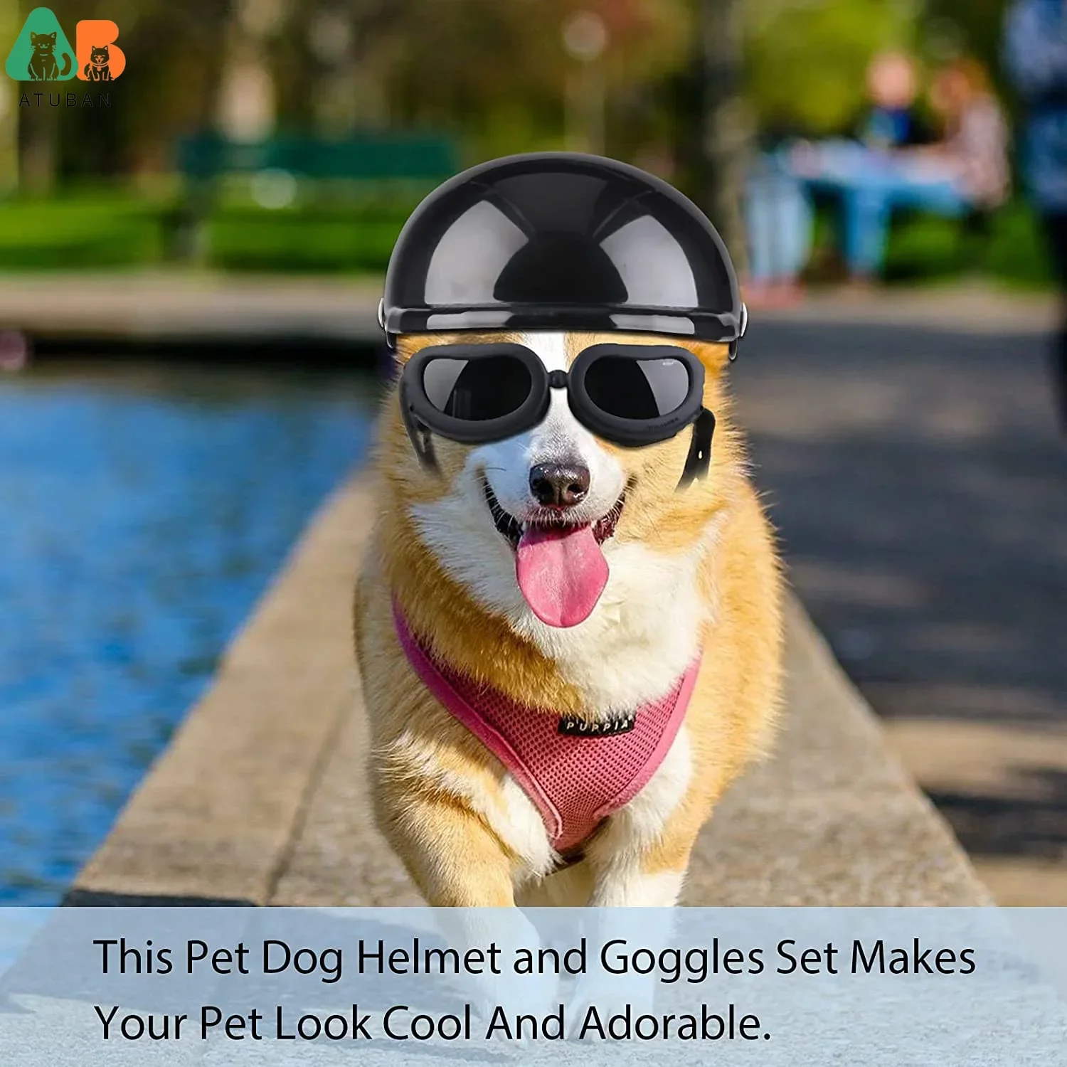 ATUBAN-Gafas de casco para perros pequeñas, protección UV, gafas de sol para perros y mascotas, sombrero de seguridad duro para motocicleta con ajustable - imagen 5